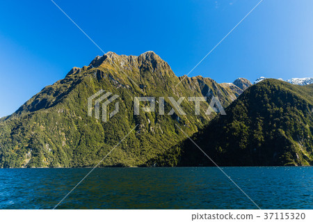 新西蘭峽灣國家公園米爾福德峽灣 37115320