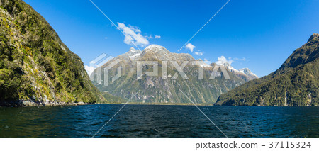 新西蘭峽灣國家公園米爾福德峽灣 37115324