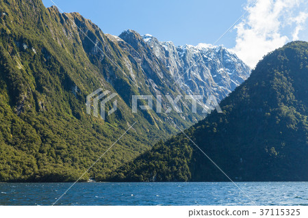 新西蘭峽灣國家公園米爾福德峽灣 37115325