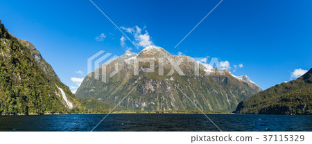 新西蘭峽灣國家公園米爾福德峽灣 37115329