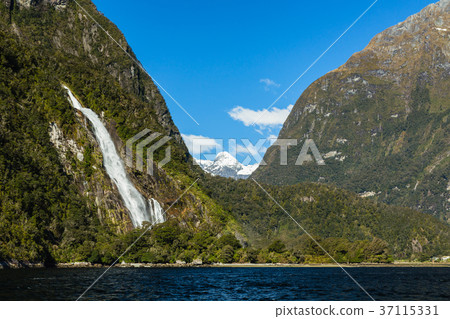 新西蘭峽灣國家公園米爾福德峽灣博文瀑布 新西蘭峽灣國家公園米爾福德峽灣博文瀑布 37115331