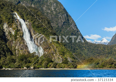 New Zealand Fiordland National Park Milford Sound Bowen Falls New Zealand Fiordland National Park Milford Sound Bowen Falls 37115334