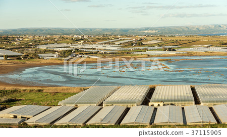 Tomato Greenhouses and Salines - Pachino Italy 37115905