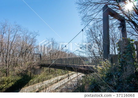 Kisuge Bridge Kisuge Bridge 37116068