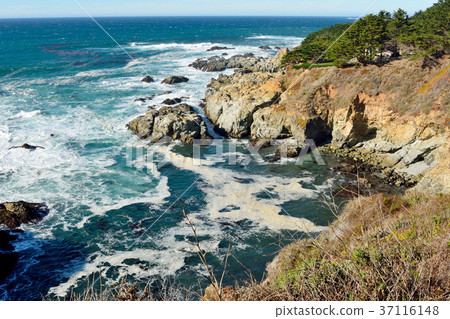 Landscape in Big Sur state parks in California. Landscape in Big Sur state parks in California. 37116148