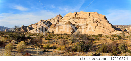 Mormon Rocks in San Bernardino in California, USA. 37116274