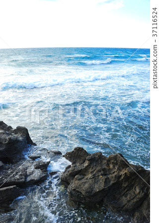 Scenery of Micho, Miura City, Kanagawa Prefecture Scenery of Micho, Miura City, Kanagawa Prefecture 37116524