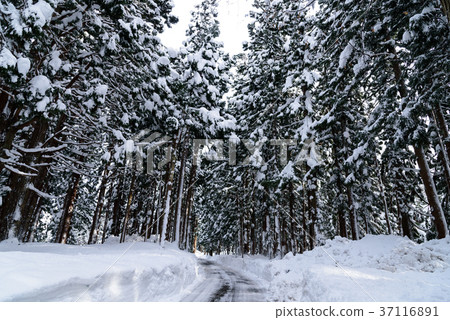 雪的方法 雪的方法 37116891