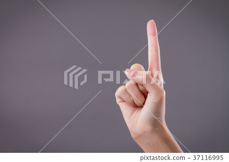 hand pointing up 1 fingers, number one gesture hand pointing up 1 fingers, number one gesture 37116995