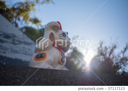 常滑 常滑 37117123