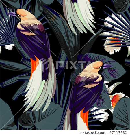 birds orchids and night jungle seamless background 37117582