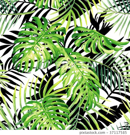 tropical plants watercolor pattern tropical plants watercolor pattern 37117585