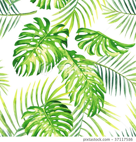 tropical plants watercolor summer seamless tropical plants watercolor summer seamless 37117586