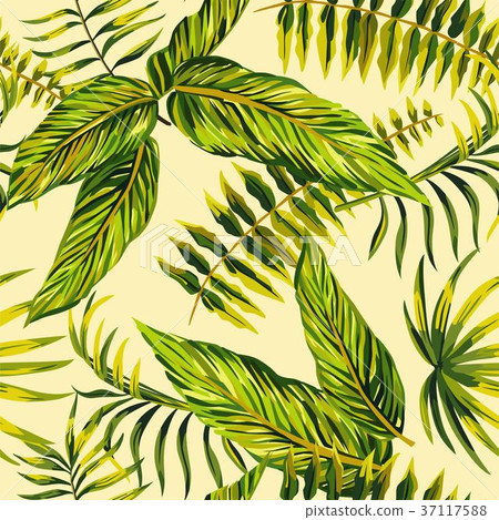 tropical painting seamless background 37117588