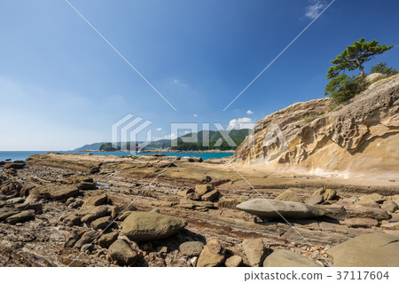 Dragon ski coast Dragon ski coast 37117604