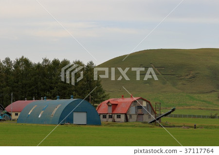 Hokkaido beef mountain and retro cowshed 37117764