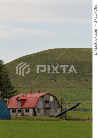 Hokkaido beef mountain and retro cowshed 37117765