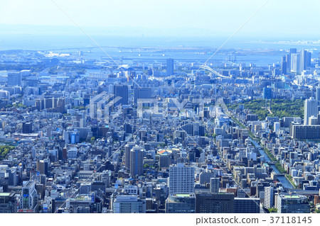 城市風光（東京，天空樹，初夏，春天） 37118145