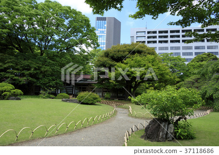 Garden scenery (Tokyo, Koishikawa Korakuen, early summer, spring) Garden scenery (Tokyo, Koishikawa Korakuen, early summer, spring) 37118686