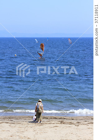Surfing 37118911