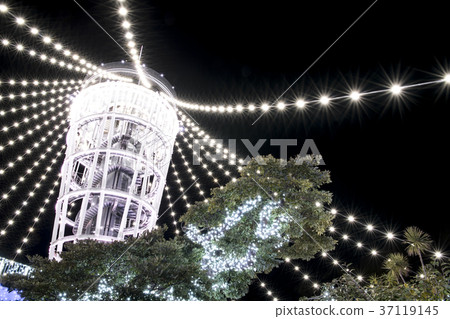 江之島夜海蠟燭 江之島夜海蠟燭 37119145