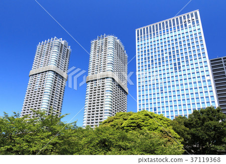 Garden scenery (Tokyo, Hamarikyu, early summer) 37119368