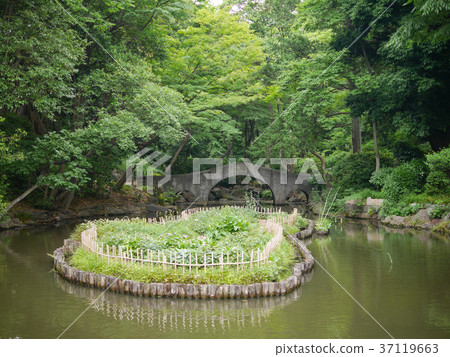 Arisugawa-no-miya Memorial Park Arisugawa-no-miya Memorial Park 37119663
