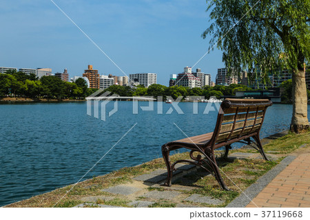 Wooden bench in Ohori park 37119668