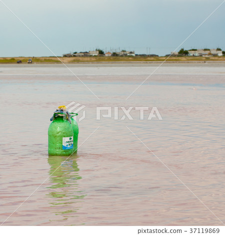 Salty pink lake 37119869