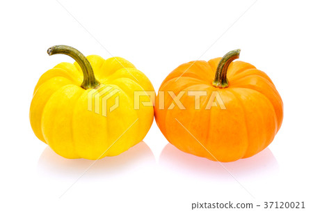 Pumpkin isolated on white background 37120021