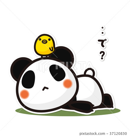 我的熊貓‥所以？ 37120830
