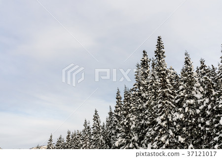 雪國 雪國 37121017