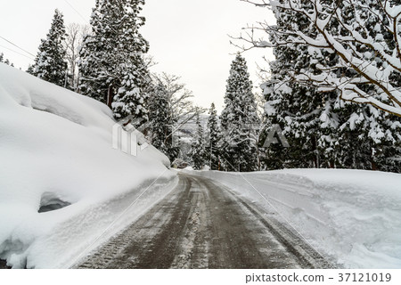 Snow country Snow country 37121019