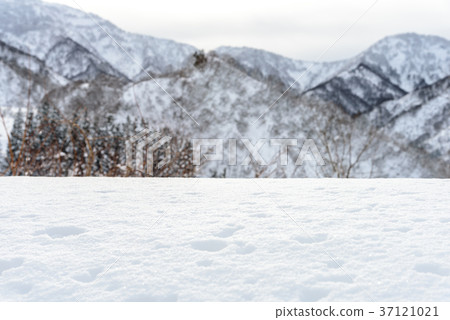 雪國 雪國 37121021