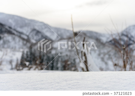 Snow country Snow country 37121023