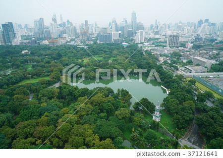 Lumpini公園，泰國首都曼谷風景 37121641