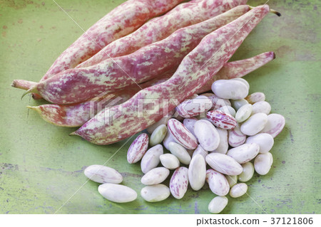 Raw cranberry beans Raw cranberry beans 37121806