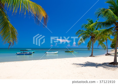 beach and tropical sea 37121910