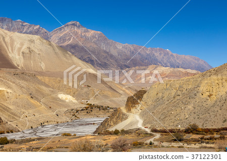 border between the lower and upper Mustang 37122301
