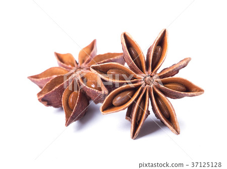 anise 37125128