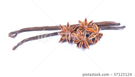 Vanilla bean and star anise on white background Vanilla bean and star anise on white background 37125129