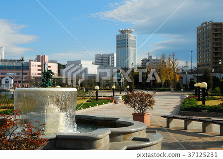 神奈川縣橫須賀市Vernie公園的風景 37125231