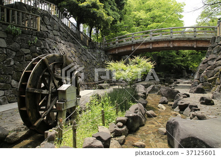 北區王子Otonashigawa(Otenashigawa)水上樂園 北區王子Otonashigawa(Otenashigawa)水上樂園 37125601