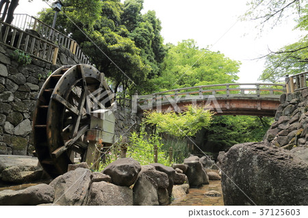 Kita Ward Prince Otonashigawa (Otenashigawa) water park Kita Ward Prince Otonashigawa (Otenashigawa) water park 37125603