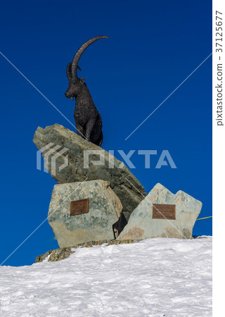 Statue of Steinbock Statue of Steinbock 37125677