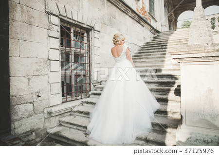 Beautiful elegant bride with perfect wedding dress Beautiful elegant bride with perfect wedding dress 37125976