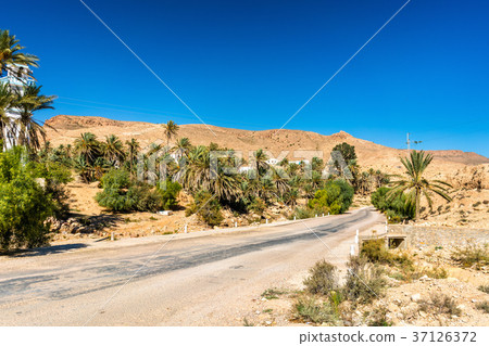 Ksar Hallouf, a village in the Medenine 37126372