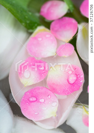 floral arrangement, decoration, spa concept. there floral arrangement, decoration, spa concept. there 37126706