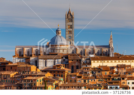Siena. Cathedral on a sunny day. 37126736