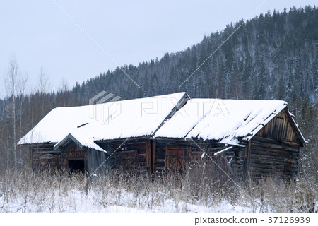 abandoned wooden hut in the winter landscape.. 37126939